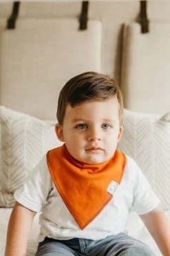Blaze Bandana Bibs -Baby Product Shop blaze bandana bibs copper pearl lil tulips 28530959384694