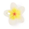 Hawaii The Flower, Chewy Teether -Baby Product Shop hawaii the flower chewy teether oli carol lil tulips 30324046069878