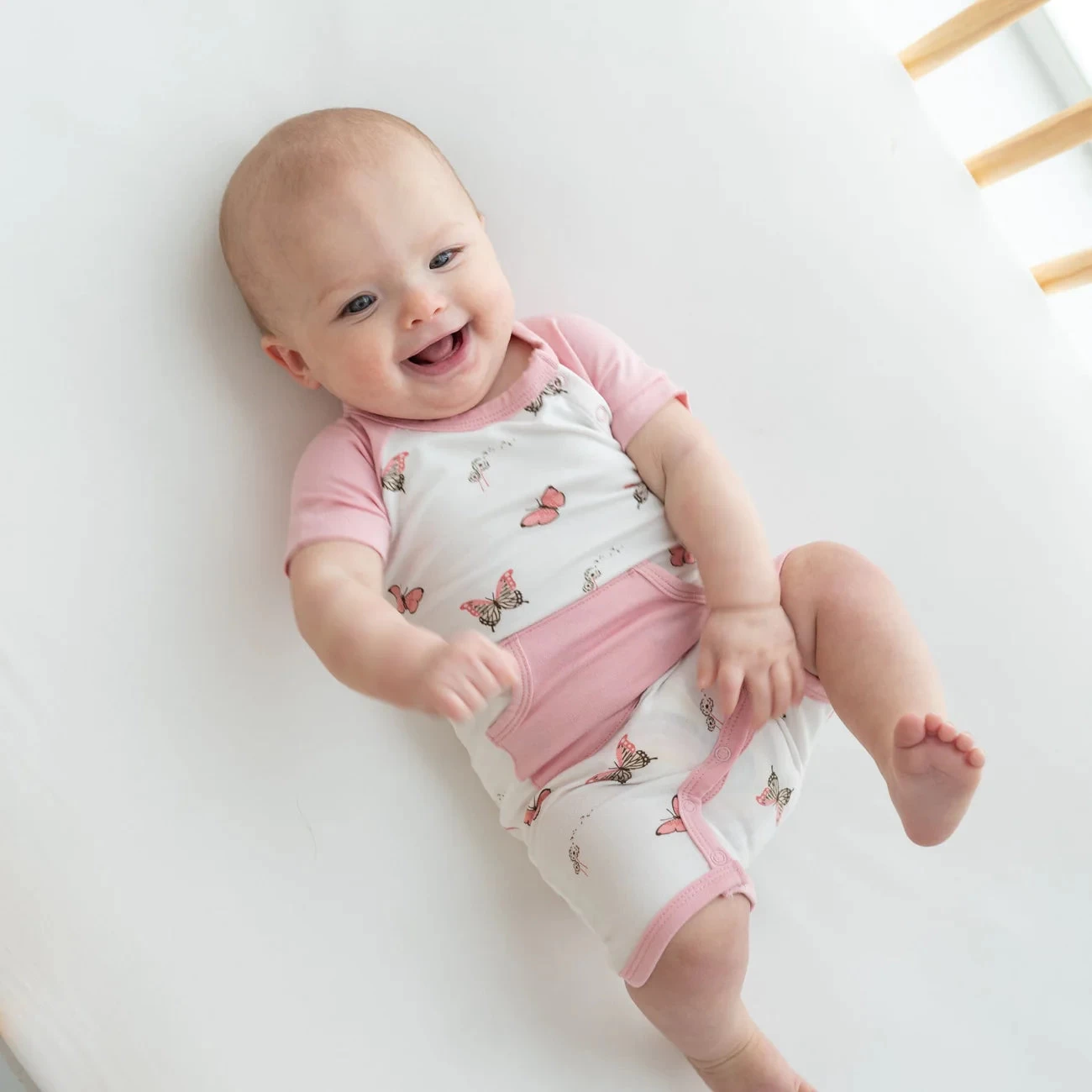 Shortall In Butterfly 4 Shortall In Butterfly - Image 2