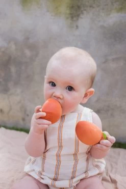 Palm Peach Teether -Baby Product Shop palm peach teether oli carol lil tulips 30324056326262