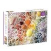Chronicle Books Rainbow Seashells 2000 Piece Puzzle -Baby Product Shop rainbowshellspzl