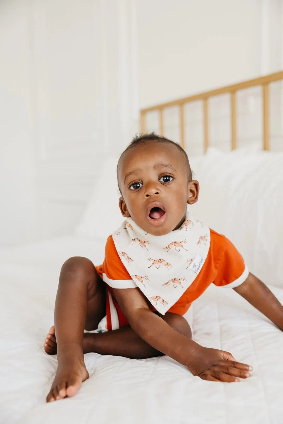 Swift Bandana Bibs 4 Swift Bandana Bibs - Image 2